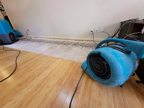 Professional Sewage Cleanup technician working in South Bound Brook, NJ